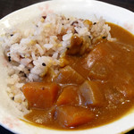 Seifuu Tei - 減農薬米のカレーライス