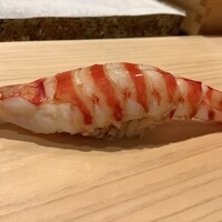 鮨処たけ原 - クルマエビ