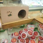 フルーツショップ 柿良 - ねこベッドが新調されてましたミャ