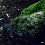 貴船べにや - せせらぎに癒されます。'13 6月上旬