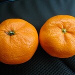 鉄板焼 くるみ - お土産 みかん