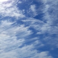 モナリザ 丸の内店 - 