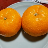 ぼたん - 