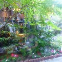 Cozy - 大きな窓がありますので、開放的でいいですね。
                