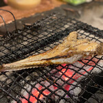 Robata Kajika - 