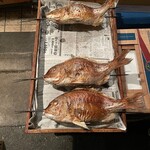 魚秀 - 計量して値付け②