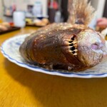 魚秀 - 我家の鯛③