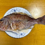 魚秀 - 我家の鯛①