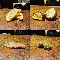 天ぷらあら木 - 