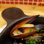 7FUKU - 貝好きにはたまらんぞ〜⤴