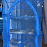 蕎麦と酒処 きくち - 