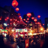 雅苑酒家 本店 - 