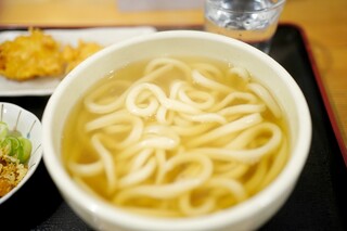 Honkaku Sanuki Udon Honoka - 