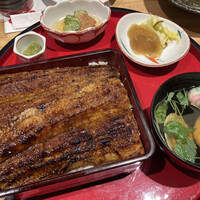 鰻う おか冨士 - 上うな重