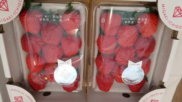 イチゴ ワールド（ICHIGO WORLD） - 山下（その他）の写真