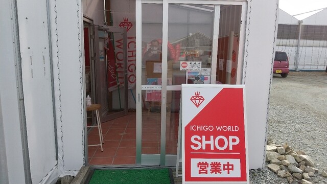 イチゴ ワールド（ICHIGO WORLD） - 山下（その他）の写真