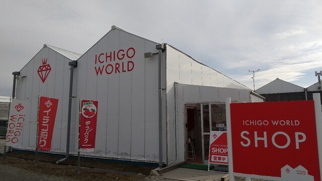 イチゴ ワールド（ICHIGO WORLD） - 山下（その他）の写真