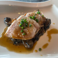 International cuisine subzero - 