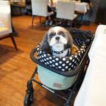 Regina Resort Karuizawa Mikage Yosui