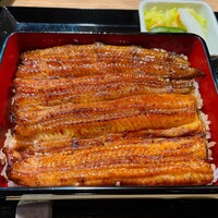 うなぎ 目白ぞろ芽 - 共水うなぎ