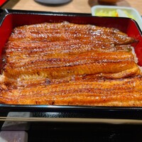 うなぎ 目白ぞろ芽 - 