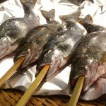 柳家 - さつき鱒