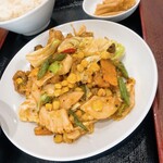 中国料理 峨嵋山 - 鶏肉、イカ、野菜がたっぷり