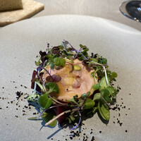 Arcon - 前菜2: 川俣しゃも　りんごのバロテイーヌ