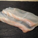 島津 - マツカワガレイ