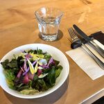 CONVIER - 本日のサラダ