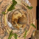 たつの申し子 - 