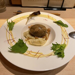 たつの申し子 - 