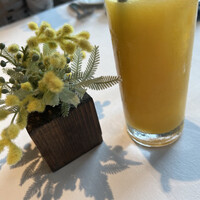 Wattle Tokyo - 