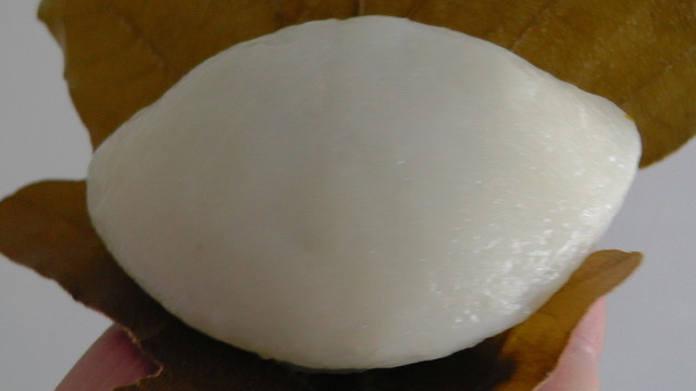 玉家玉振堂 竹田店 - 二本松（和菓子）の写真