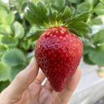 姫路ハートフル観光農園 - 