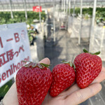 姫路ハートフル観光農園 - 