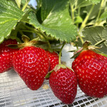 姫路ハートフル観光農園 - 