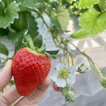 姫路ハートフル観光農園 - 