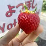 姫路ハートフル観光農園 - 