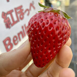 姫路ハートフル観光農園 - 