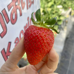 姫路ハートフル観光農園 - 