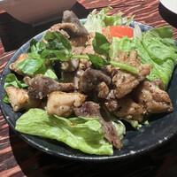 鳥ばか一代 - 