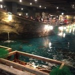 ざうお - お客さんで賑わう中、釣り開始！