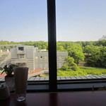 森のカフェ - 緑が気持ちよいです