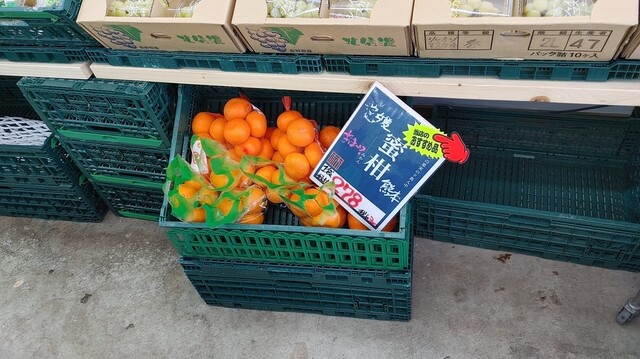 柿崎青果倶楽部 東光店 - 旭川四条（その他）の写真