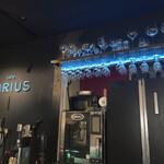 Cafe SIRIUS - 