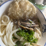 宮川製麺所 - うどん小　タマネギ天ぷら　イリコげっと