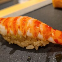 鮨 稲穂 - ⑪車海老(鹿児島県産、養殖)
                    産卵期は初夏～初秋、旬は初夏～初秋
                    養殖だが朱色のドットに茶色の滲みが少なく状態は良さそう
                    車海老特有の華やかな甘みと旨味は控えめ