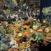 boB the garden Ginza - 