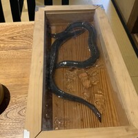 にょろ助 銀座 - 